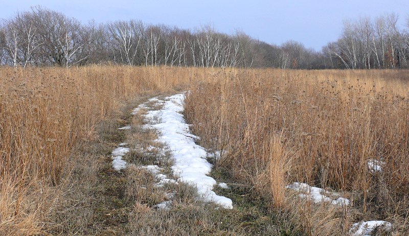 Path through the Narrows Prairie
