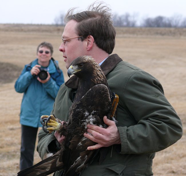 scott-mehus-and-golden-eagle-just-before-release