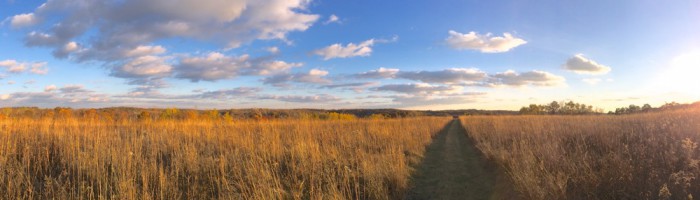 11-1-13 Western Prairie panorama