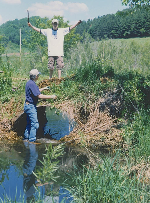 summer 2001 taking out a beaver dam 3